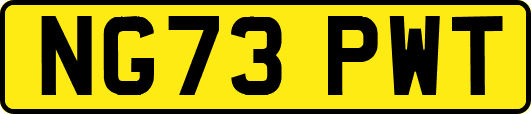 NG73PWT