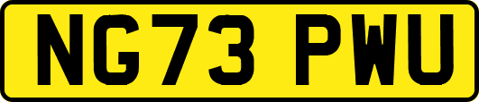 NG73PWU