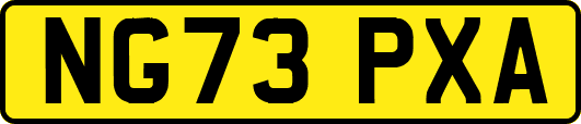 NG73PXA