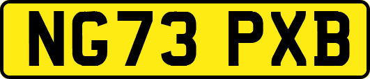 NG73PXB