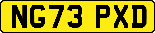 NG73PXD