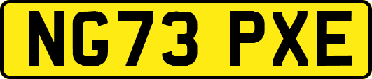 NG73PXE