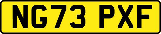 NG73PXF