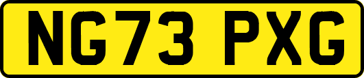 NG73PXG