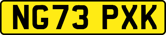NG73PXK