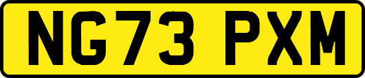 NG73PXM