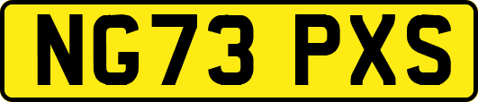 NG73PXS