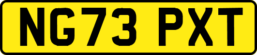 NG73PXT