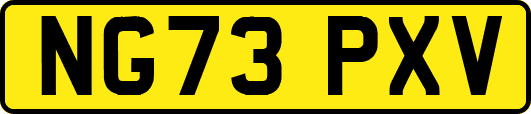 NG73PXV