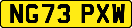 NG73PXW