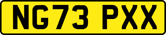 NG73PXX