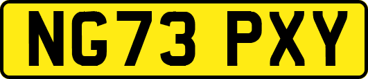 NG73PXY