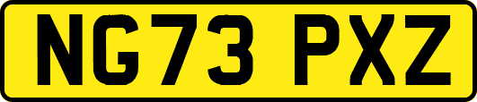 NG73PXZ