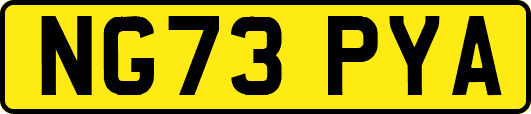NG73PYA