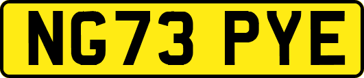 NG73PYE