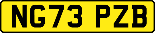 NG73PZB