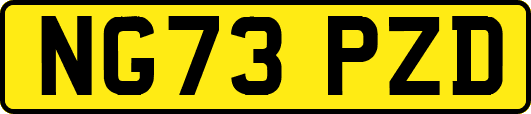 NG73PZD