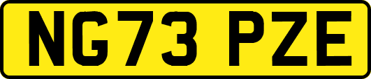 NG73PZE