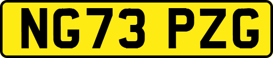 NG73PZG