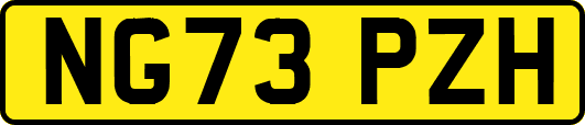 NG73PZH