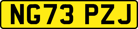 NG73PZJ