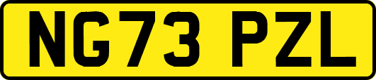 NG73PZL