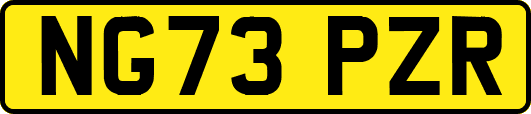 NG73PZR