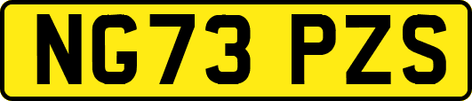 NG73PZS