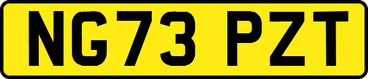 NG73PZT