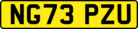 NG73PZU