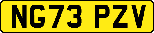 NG73PZV