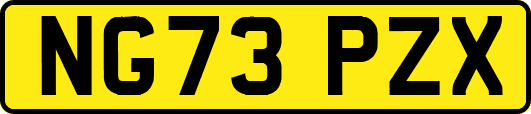 NG73PZX