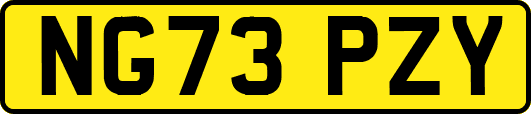 NG73PZY