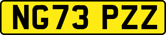 NG73PZZ