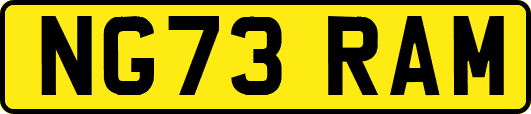NG73RAM