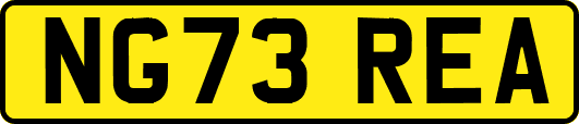 NG73REA