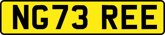 NG73REE