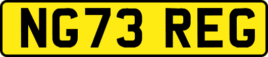 NG73REG
