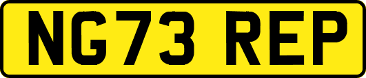 NG73REP