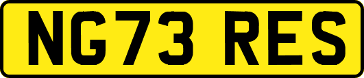NG73RES