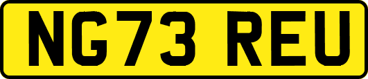 NG73REU