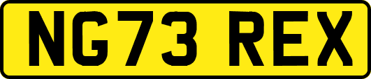 NG73REX