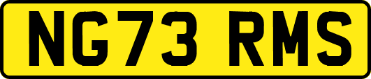 NG73RMS