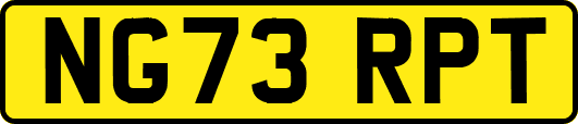 NG73RPT