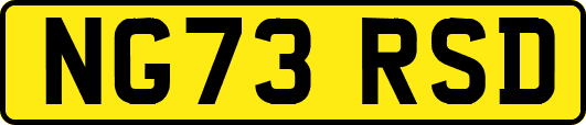 NG73RSD