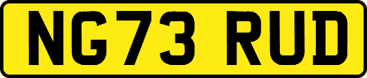 NG73RUD