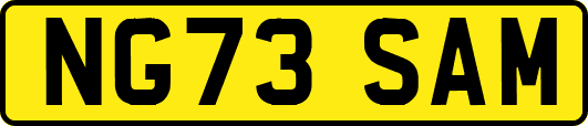 NG73SAM