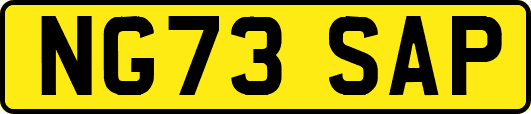 NG73SAP
