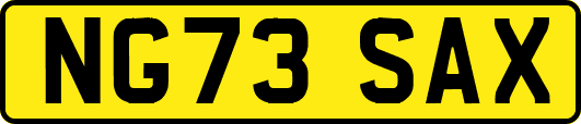 NG73SAX