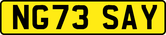 NG73SAY